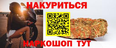 гидропоника Будённовск