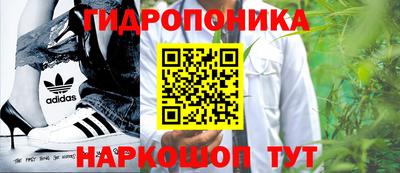 гидропоника Будённовск