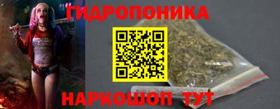 гидропоника Будённовск