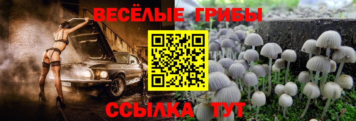 Галлюциногенные грибы мицелий  наркошоп  Минеральные Воды  Вход с VPN 