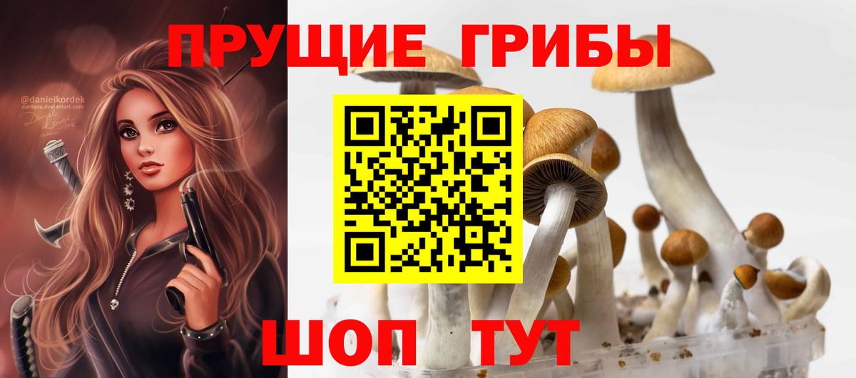 Псилоцибиновые грибы Psilocybe Минеральные Воды